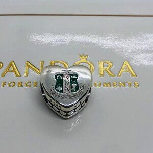 ✨🔥Pandora AKA Charm Alpha Kappa Alpha Sorority Bead Charm